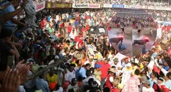 Aberrante caso de maltrato animal en el Caribe: utilizaron pólvora sobre un toro en corralejas