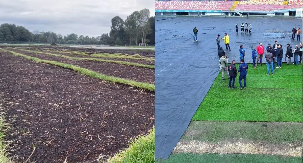 La firma en el centro de la polémica por la grama de El Campín: ha intervenido otros estadios