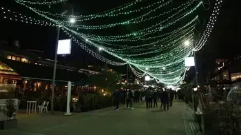 rumba bogotá