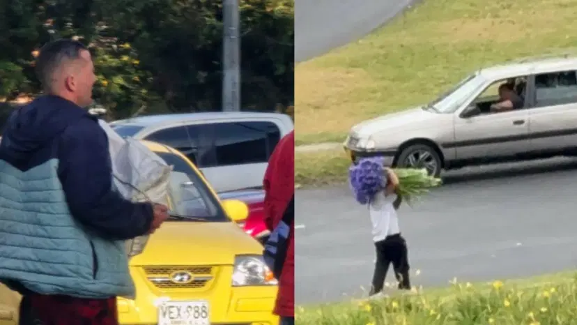 Así se roban a Bogotá: desde las flores hasta los cables de internet ¿qué está pasando? Así se roban a Bogotá: desde las flores hasta los cables de internet ¿qué está pasando?