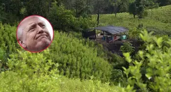 Estados Unidos descertificó a Colombia en lucha contra las drogas Estados Unidos descertificó a Colombia en lucha contra las drogas