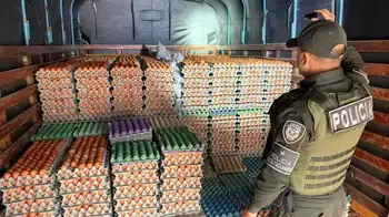 Huevos Nariño Más de 149 mil huevos de contrabando de Ecuador fueron incautados en Nariño
