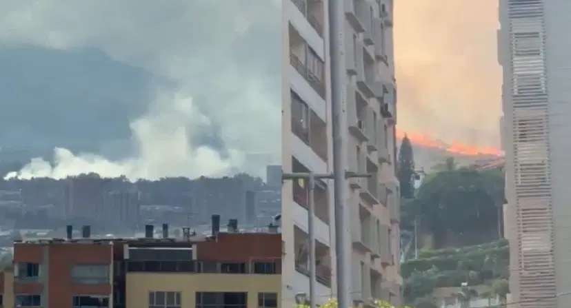 Incendios en Cali y Bogotá Incendios forestales hoy ponen en alerta a Cali y Bogotá: varias hectáreas están afectadas