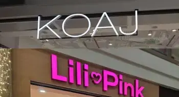 Investigan a Koaj y a Lili Pink extinción de dominio Golpe a locales de Koaj y Lili Pink: ocupan 38 inmuebles por $ 379.873 millones