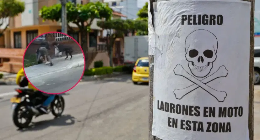 Perro salvó a su dueño de ser robado Video | 'El perro héroe': salvó a su dueño de un atraco y mordió a uno de los ladrones